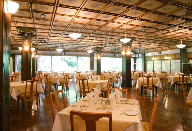 Fotos del hotel Nikko Kanaya:  13