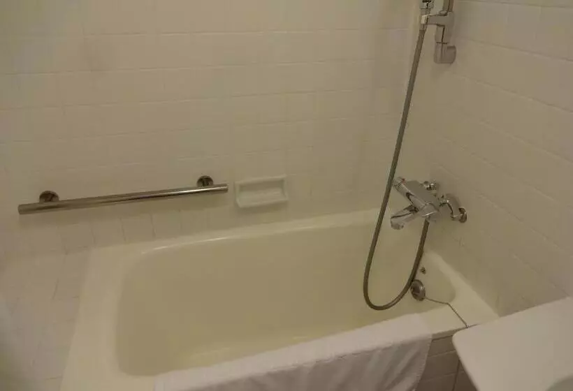 Fotos del hotel Nikko Kanaya:  7