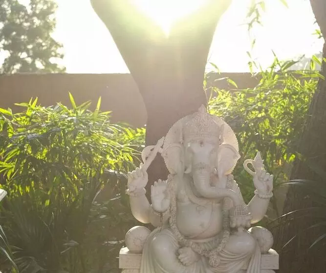 Fotos del hotel Rajmahal Palace:  25