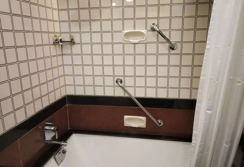 Fotos del hotel Taj Bengal:  10