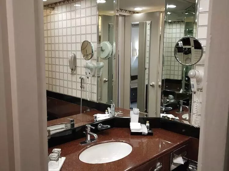 Fotos del hotel Taj Bengal:  18