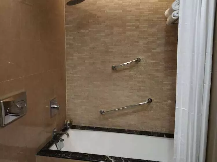 Fotos del hotel Taj Bengal:  24