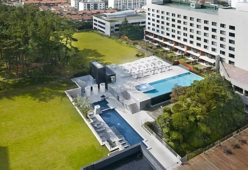 Fotos del hotel Maison Glad Jeju:  22