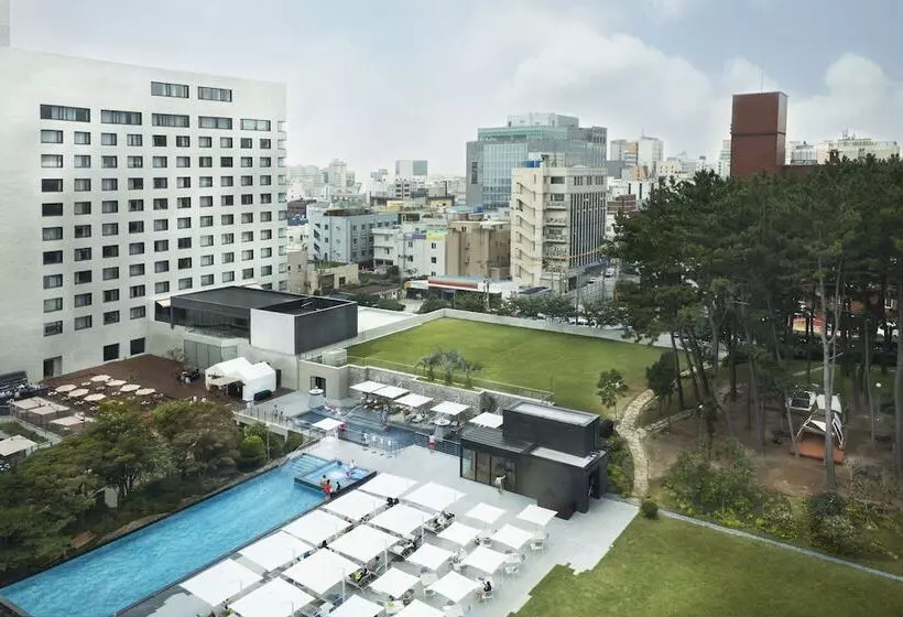 Fotos del hotel Maison Glad Jeju:  25