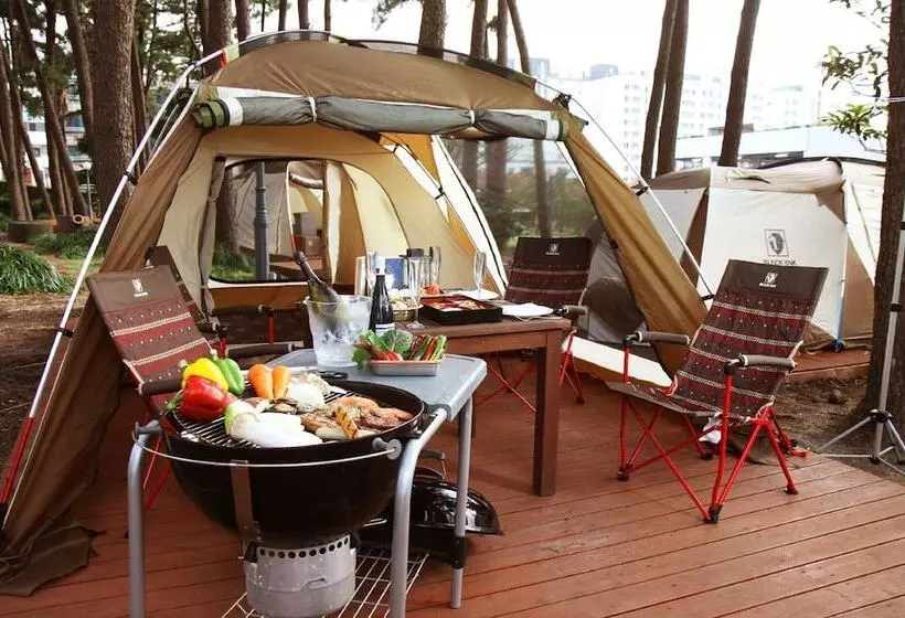 Fotos del hotel Maison Glad Jeju:  7