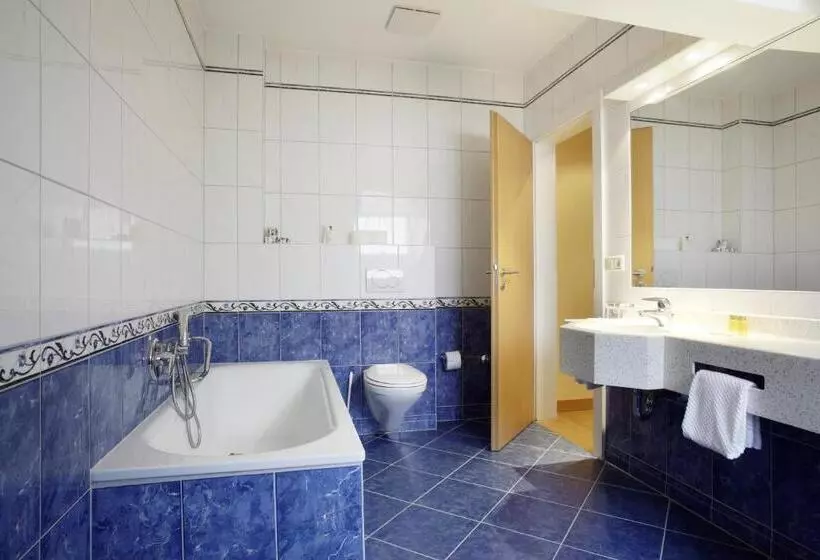 Fotos del hotel Perrin  Former Carlton:  13