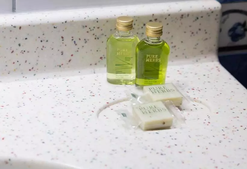 Fotos del hotel Perrin  Former Carlton:  3