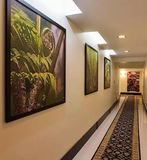 Fotos del hotel Terra Nova All Suite:  2