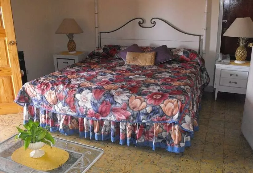 Fotos del hotel Verney House Resort:  9