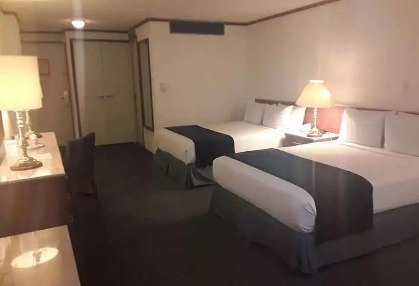 Fotos del hotel Bristol:  7