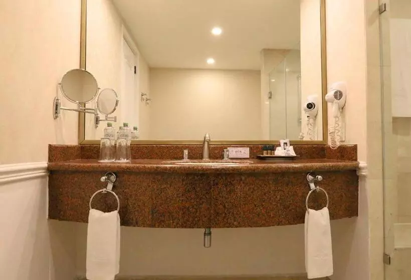 Fotos del hotel Gran Hotel Ciudad De Mexico:  17