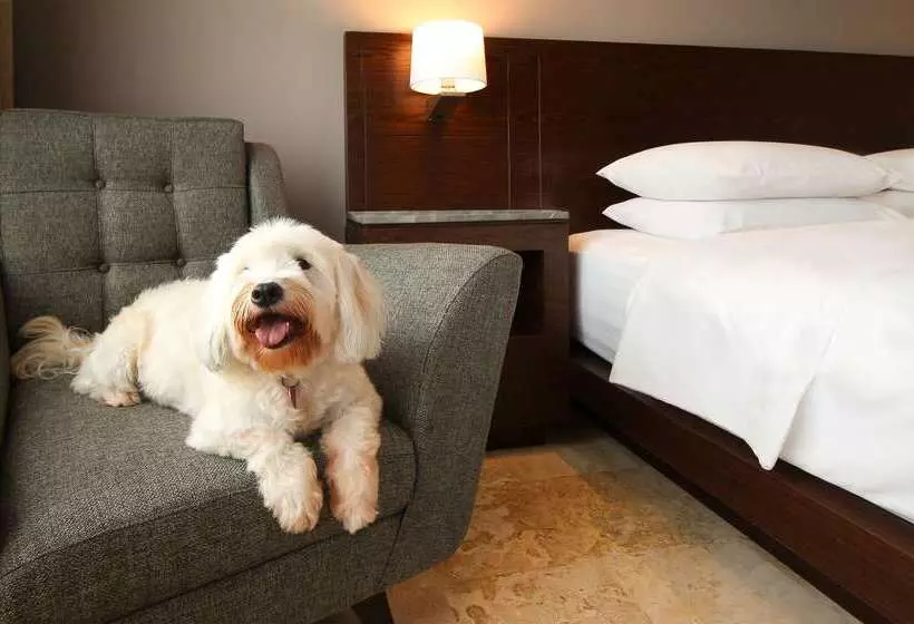 Fotos del hotel Hyatt Regency Villahermosa:  19