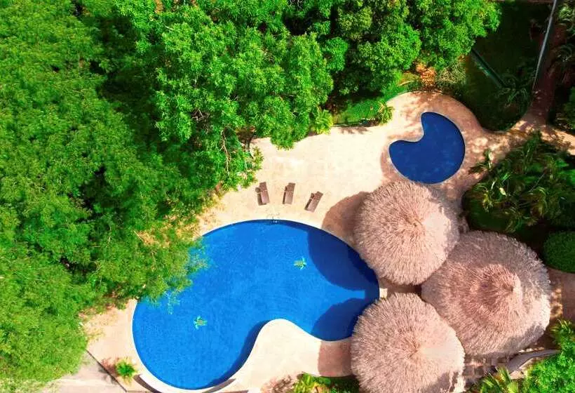 Fotos del hotel Hyatt Regency Villahermosa:  7