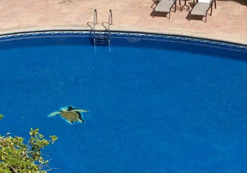 Fotos del hotel Hyatt Regency Villahermosa:  3