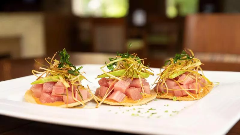 Fotos del hotel Hyatt Regency Villahermosa:  20