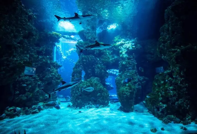 Fotos del hotel Metropole Montecarlo  The Leading S Of The World:  5