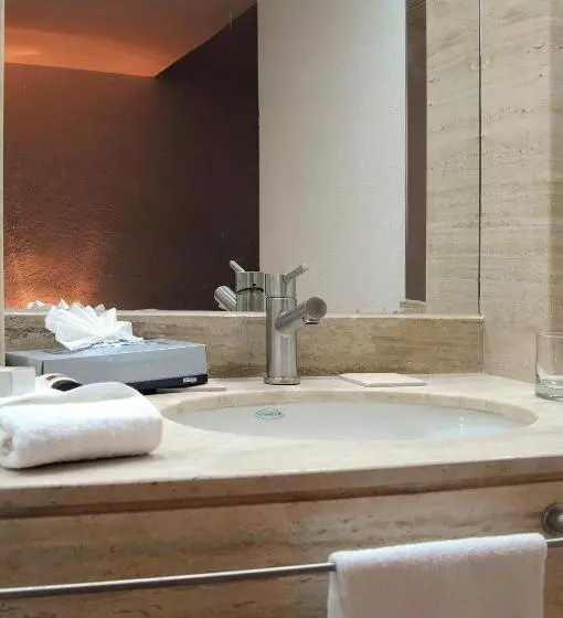 Fotos del hotel Mision Torreon:  8