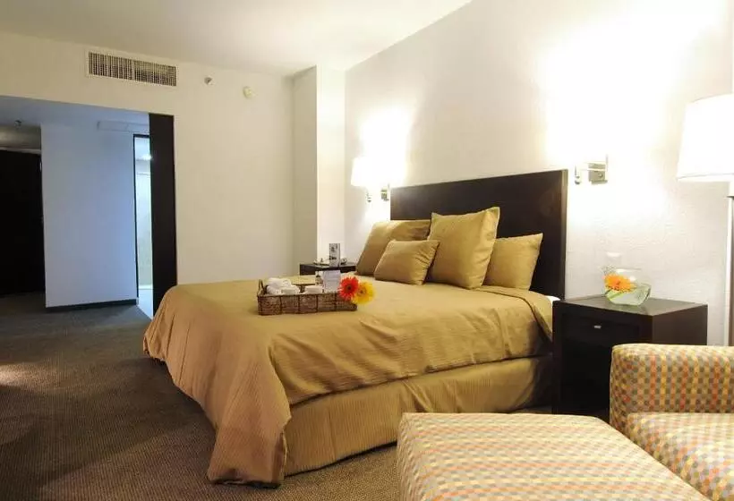 Fotos del hotel Mision Torreon:  22