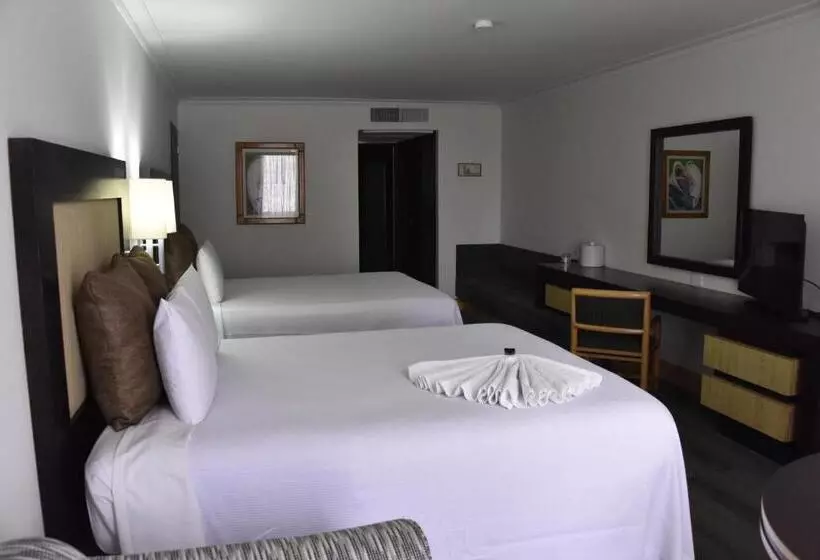 Fotos del hotel Royal Reforma:  19