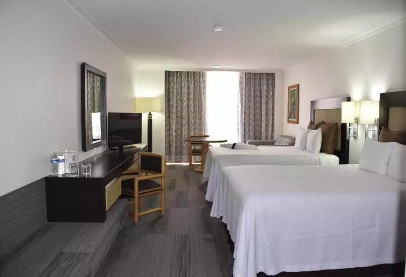 Fotos del hotel Royal Reforma:  2