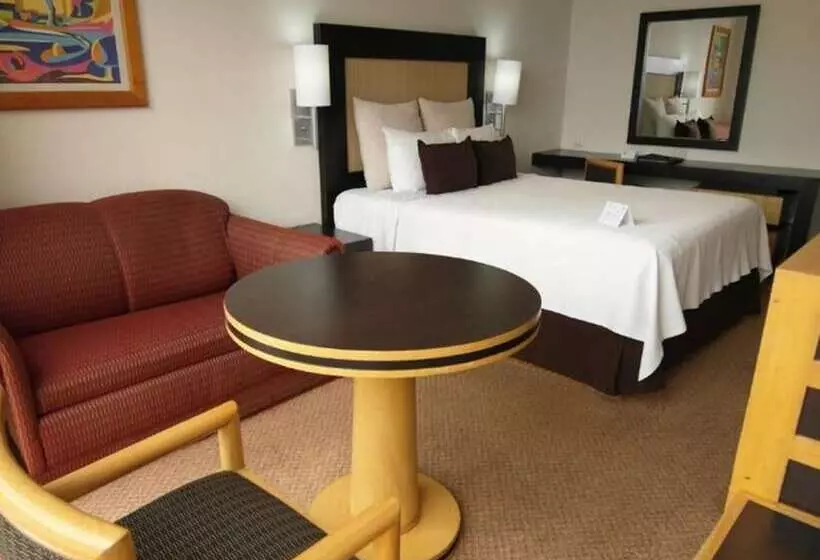 Fotos del hotel Royal Reforma:  18