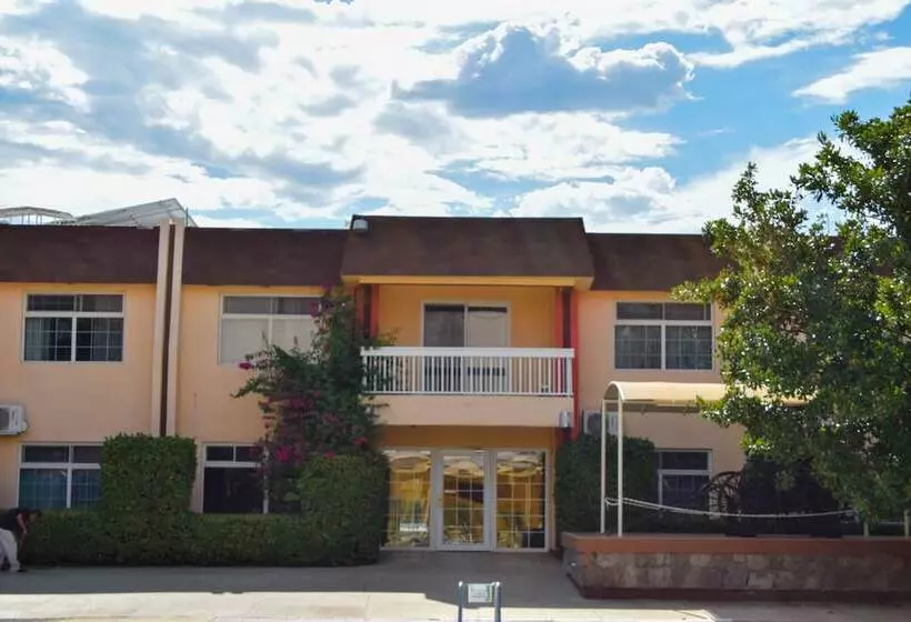 Fotos del hotel Sicomoro:  6