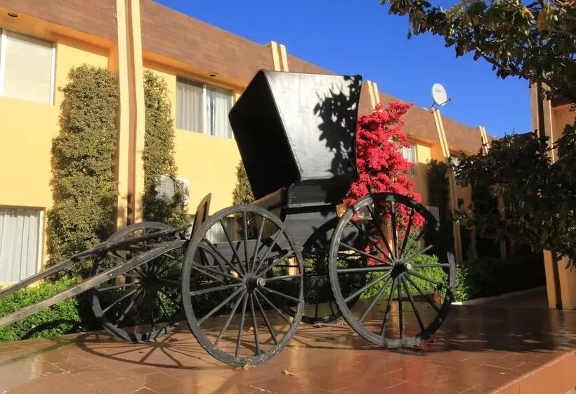 Fotos del hotel Sicomoro:  5