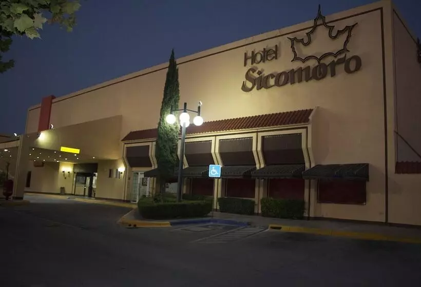 Fotos del hotel Sicomoro:  7