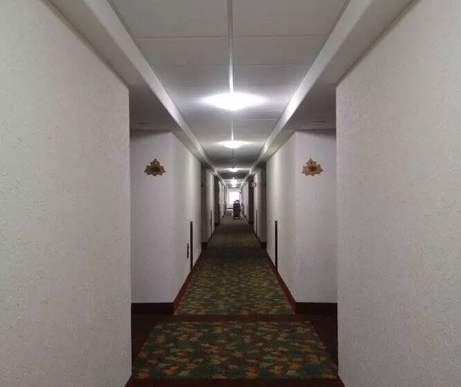 Fotos del hotel Sicomoro:  2