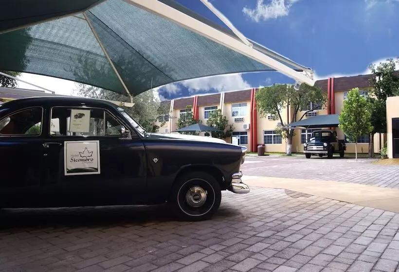 Fotos del hotel Sicomoro:  13