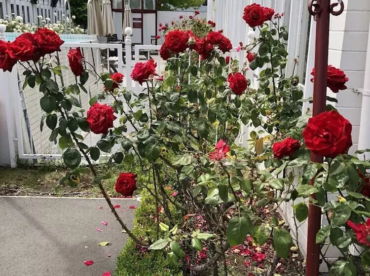 Fotos del hotel Camelot Motor Lodge:  8