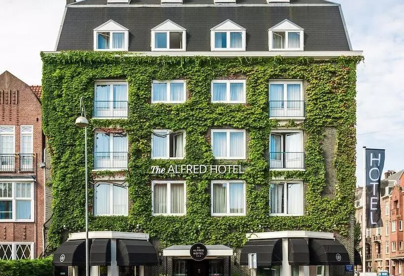 Fotos del hotel The Alfred:  15