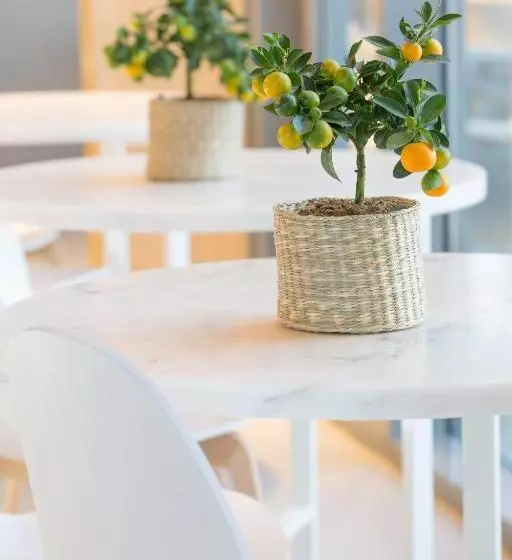 Fotos del hotel Ozadi Tavira:  18