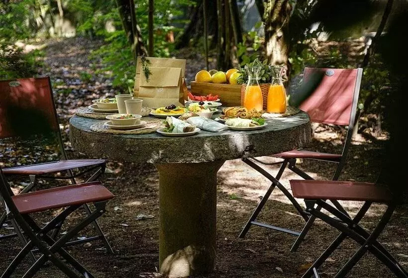 Fotos del hotel Steyler Fatima  Congress & Spa:  20