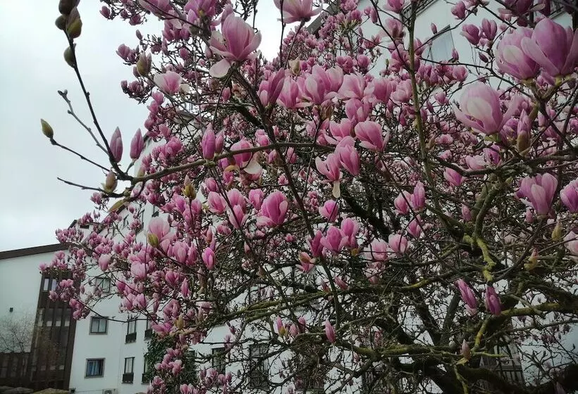 Fotos del hotel Steyler Fatima  Congress & Spa:  7