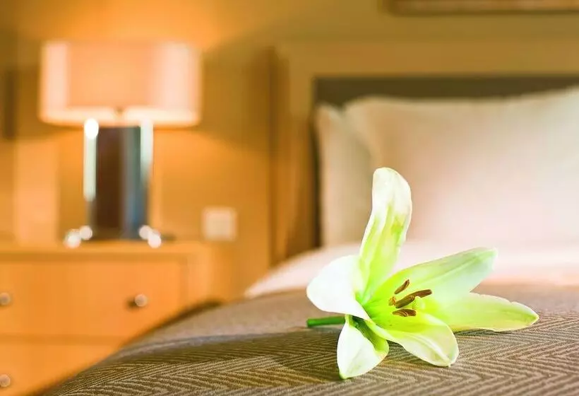 Fotos del hotel Mövenpick Suriwongse  Chiang Mai:  15