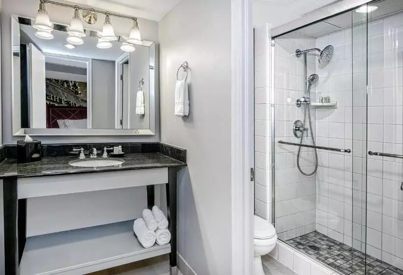 Fotos del hotel Indigo Dallas Downtown, An Ihg:  18