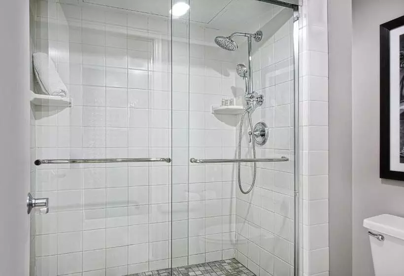 Fotos del hotel Indigo Dallas Downtown, An Ihg:  13