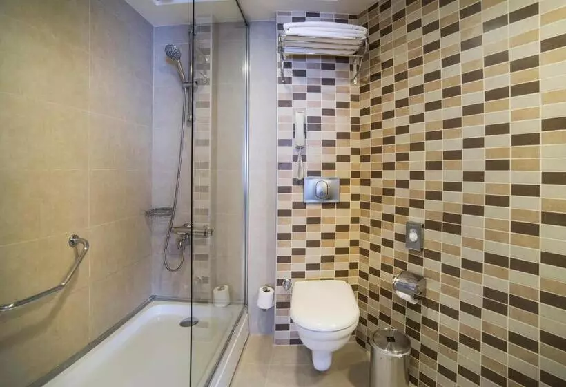 Fotos del hotel Radisson President Beyazit Istanbul:  4