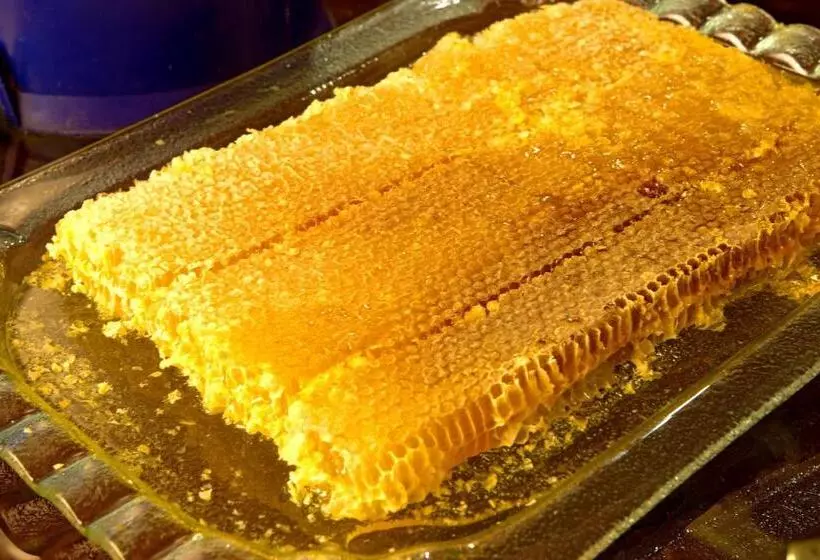 Fotos del hotel Radisson President Beyazit Istanbul:  23