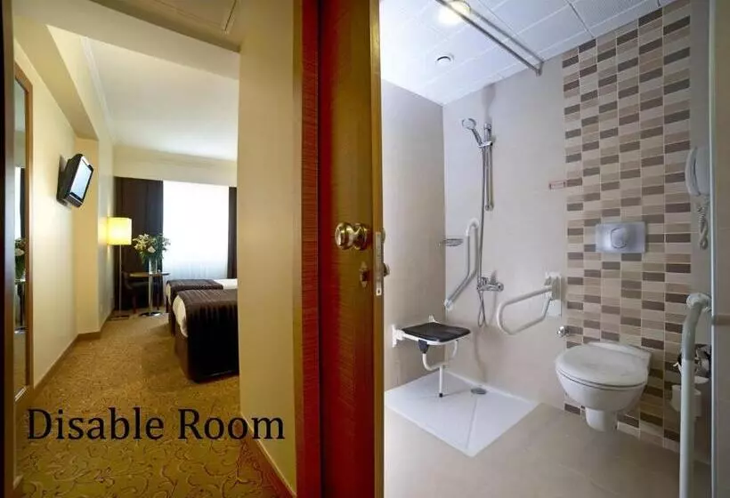 Fotos del hotel Radisson President Beyazit Istanbul:  18