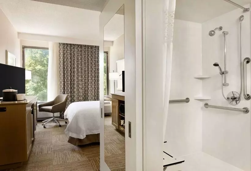 Fotos del hotel Hampton Inn Atlanta Buckhead:  17