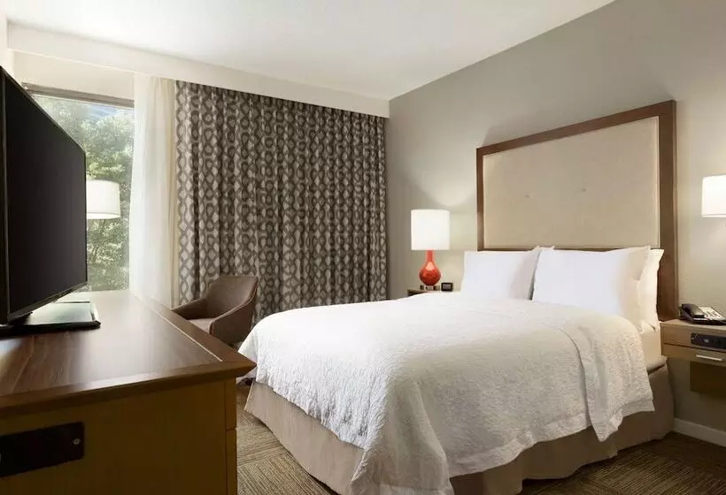 Fotos del hotel Hampton Inn Atlanta Buckhead:  9