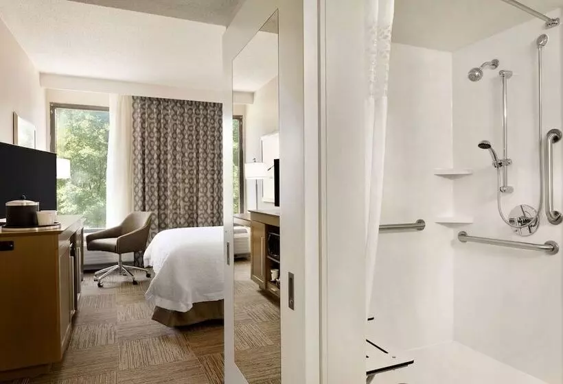 Fotos del hotel Hampton Inn Atlanta Buckhead:  25