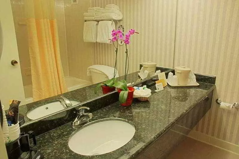 Fotos del hotel Holiday Inn Georgetown:  5