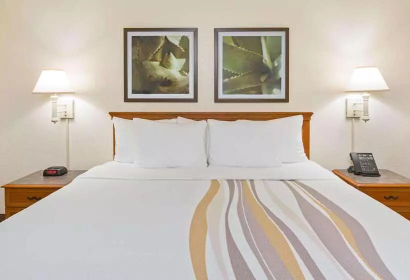 Fotos del hotel La Quinta Inn By Wyndham San Diego  Miramar:  19