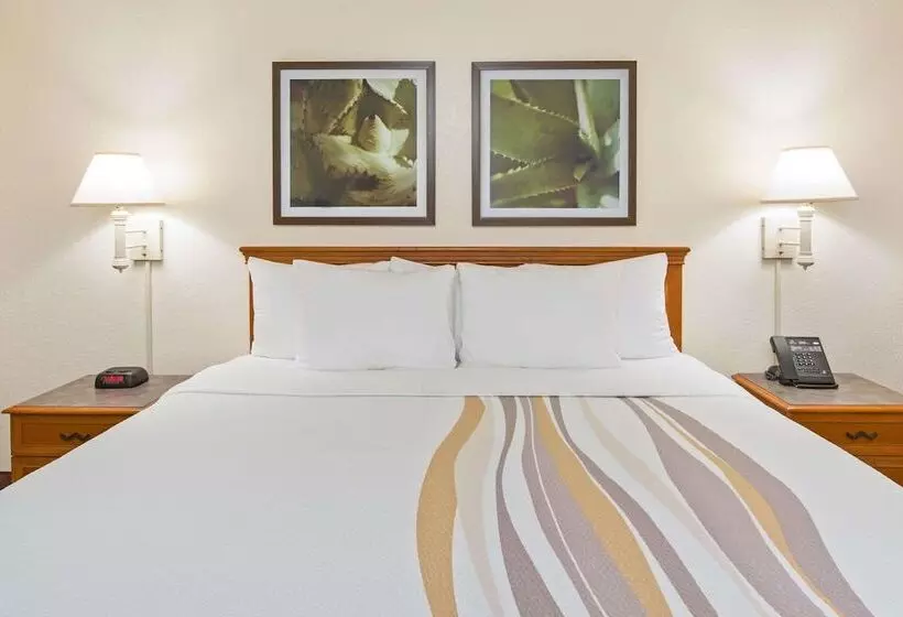 Fotos del hotel La Quinta Inn By Wyndham San Diego  Miramar:  10