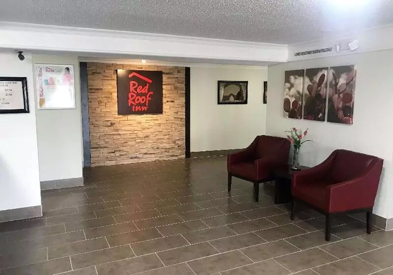 Fotos del hotel Red Roof Inn Houston North  Fm1960 & I45:  10