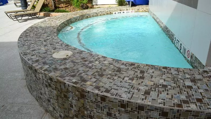 Fotos del hotel Holiday Inn Houston S - Nrg Area - Med Ctr, An Ihg:  20