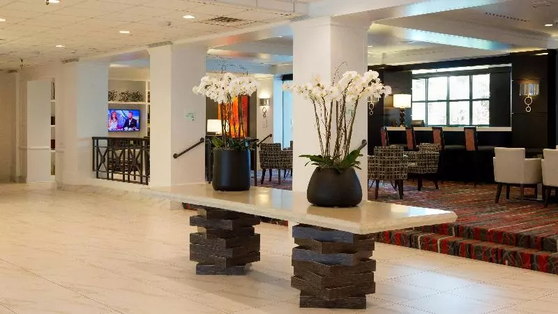 Fotos del hotel Holiday Inn Houston S - Nrg Area - Med Ctr, An Ihg:  5